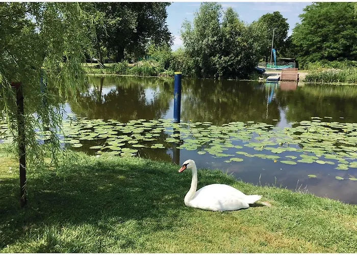 In 19281 Balatonmáriafürdő
